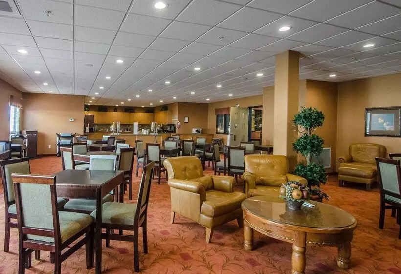 酒店 Quality Inn & Suites