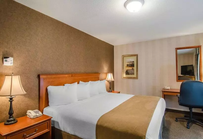 酒店 Quality Inn & Suites