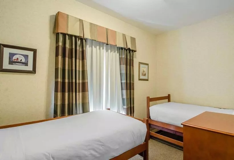 酒店 Quality Inn & Suites