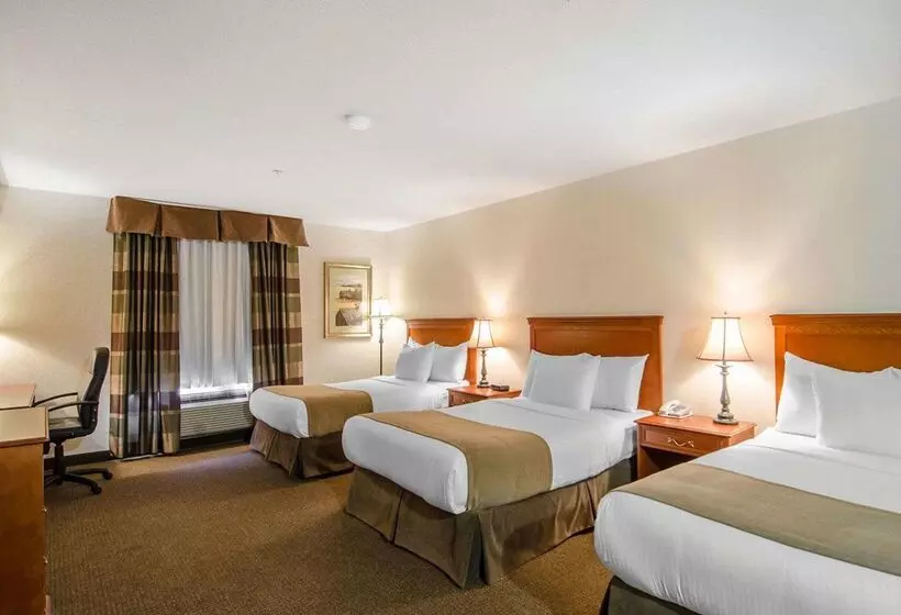 酒店 Quality Inn & Suites