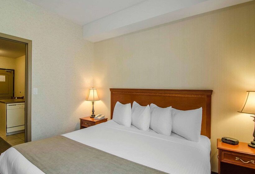 فندق Quality Inn & Suites