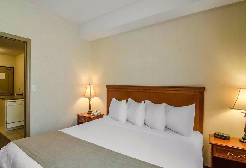 酒店 Quality Inn & Suites