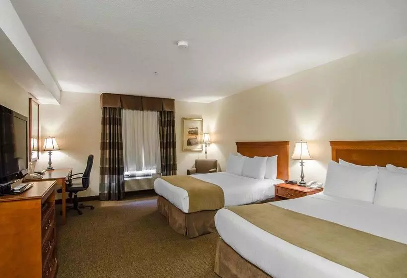 酒店 Quality Inn & Suites