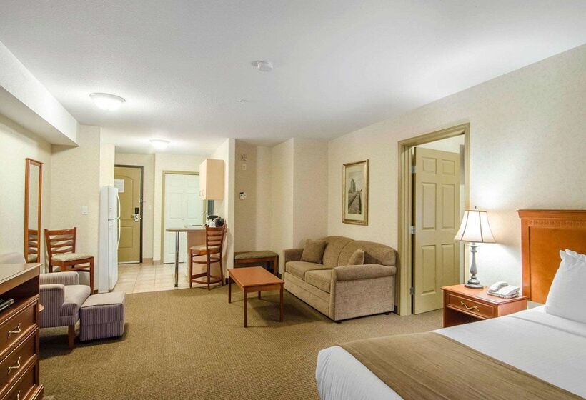 فندق Quality Inn & Suites
