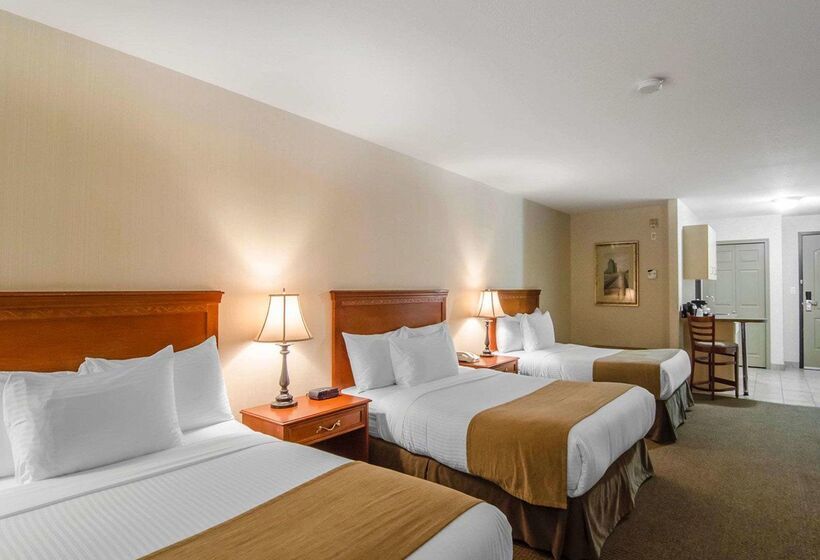 فندق Quality Inn & Suites