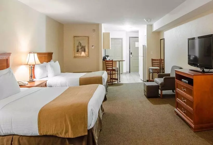 酒店 Quality Inn & Suites