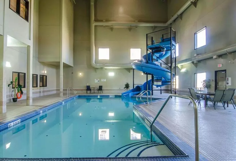 酒店 Quality Inn & Suites