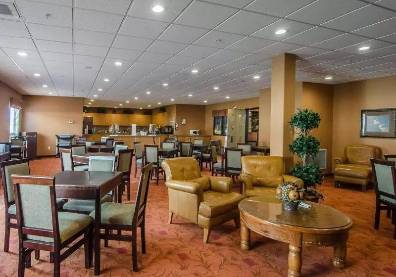 酒店 Quality Inn & Suites