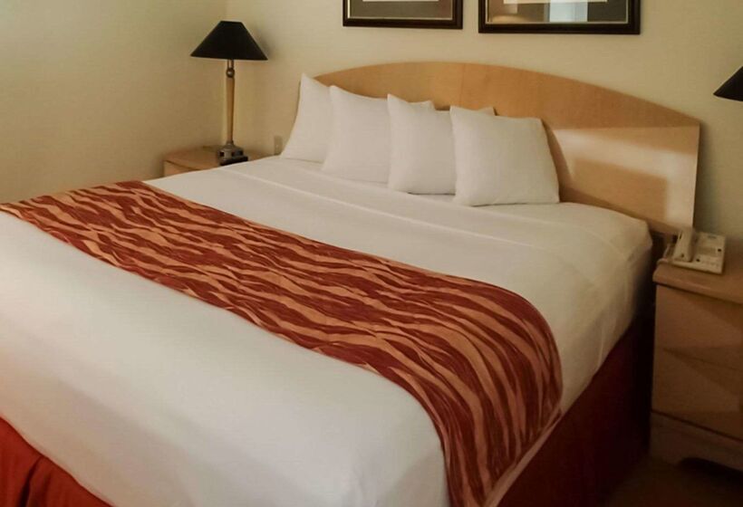 בית מלון כפרי Rodeway Inn South Miami Coral Gables