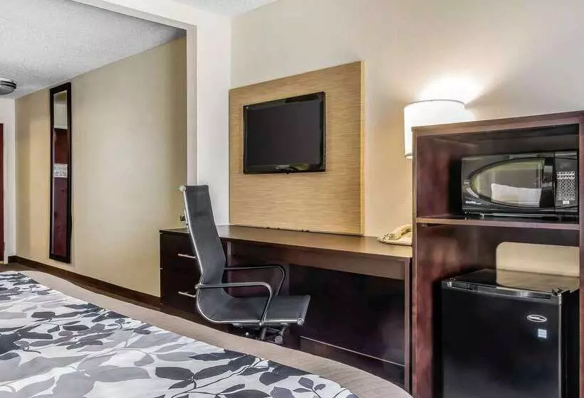酒店 Sleep Inn & Suites Dothan North