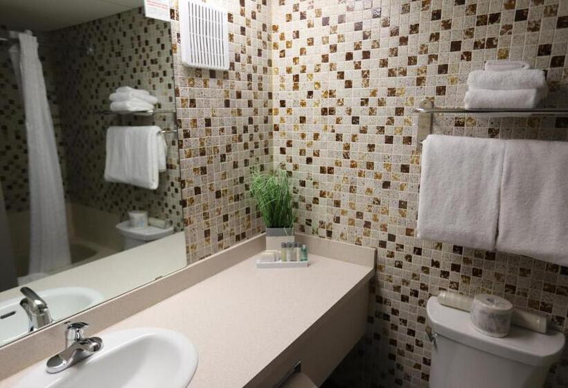 Szálloda Stanford Inn & Suites