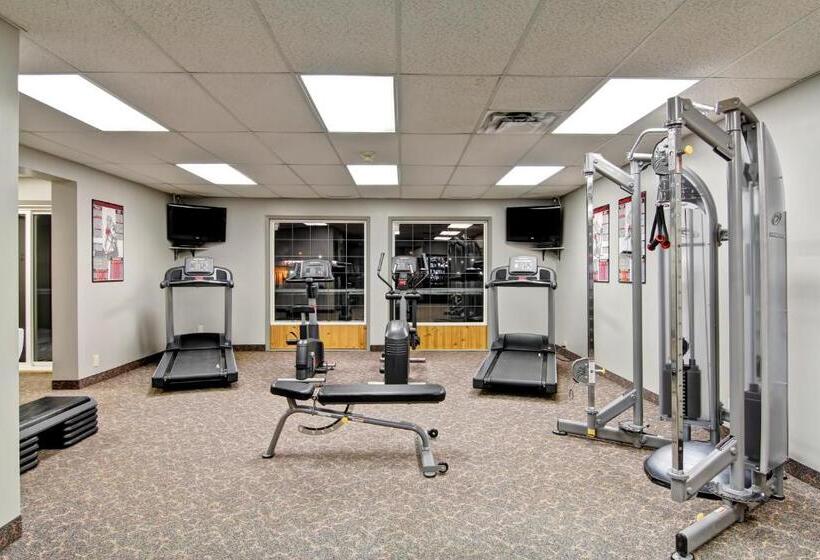 Szálloda Stanford Inn & Suites