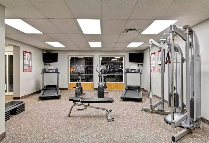 فندق Stanford Inn & Suites