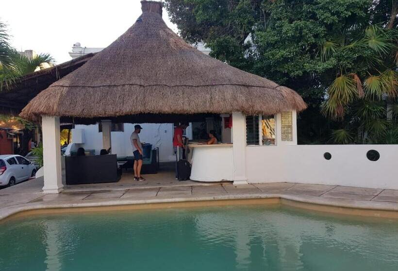 בית מלון כפרי Tropical