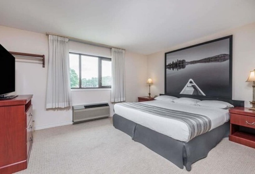 汽车旅馆  Super 8 By Wyndham Guelph