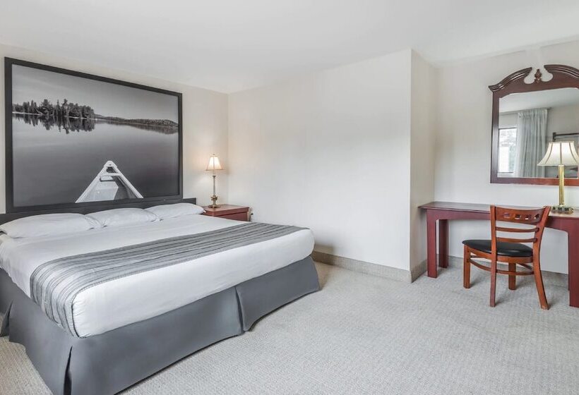 汽车旅馆  Super 8 By Wyndham Guelph