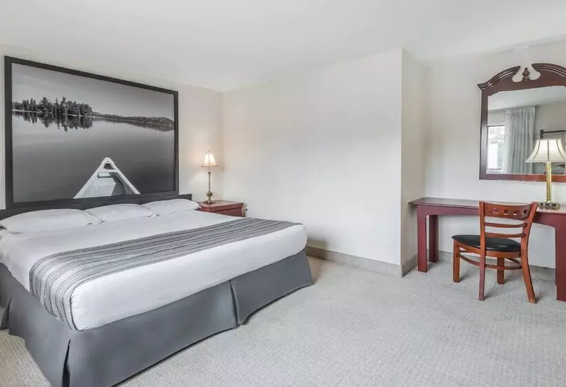 モーテル Super 8 By Wyndham Guelph