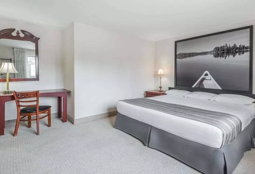 モーテル Super 8 By Wyndham Guelph