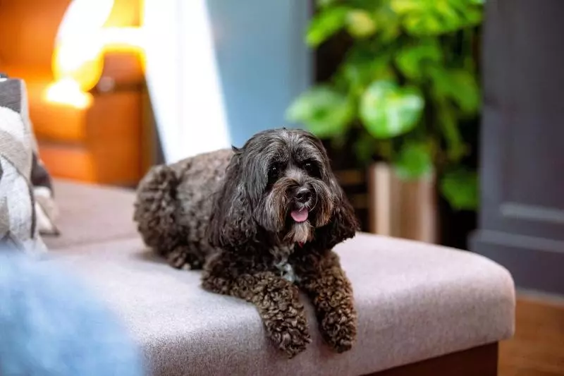 The Union Club Hotel At Purdue University, Autograph Collection