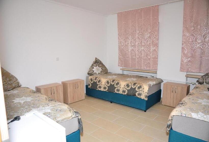 ユースホステル Weisenau Plaza