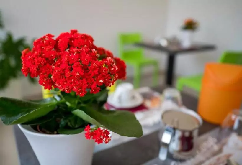 ベッドアンドブレックファースト Vino E Turismo