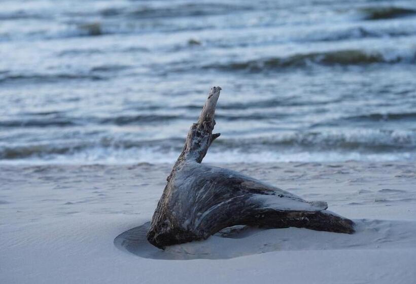 בית מלון כפרי Willa Złota