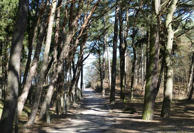 בית מלון כפרי Willa Złota