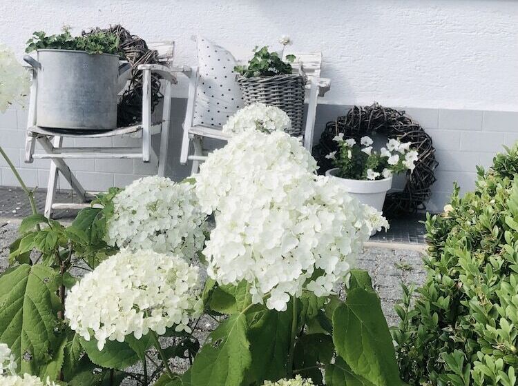 Aamiaismajoitus (B&B) Haus Rübezahl