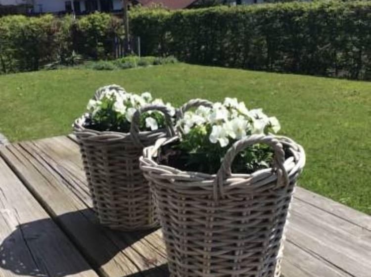 Aamiaismajoitus (B&B) Haus Rübezahl