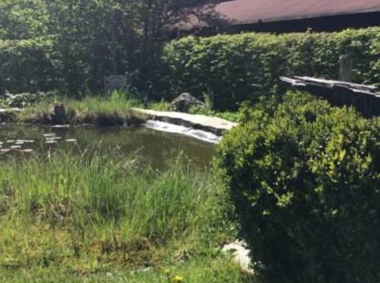 Aamiaismajoitus (B&B) Haus Rübezahl