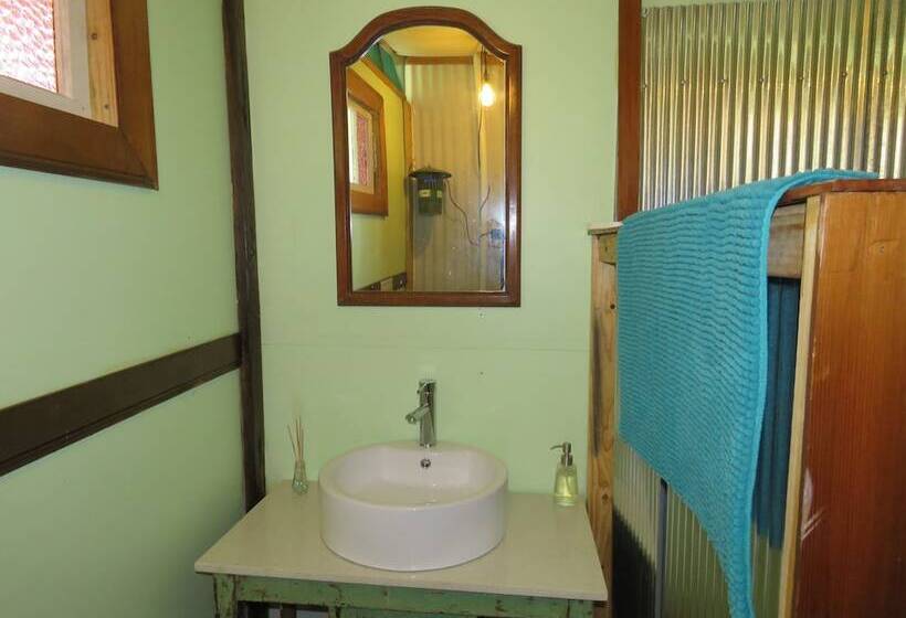 Fig Tree Retro Studio