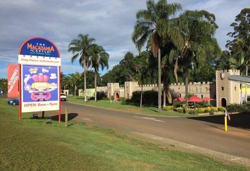 Fig Tree Retro Studio