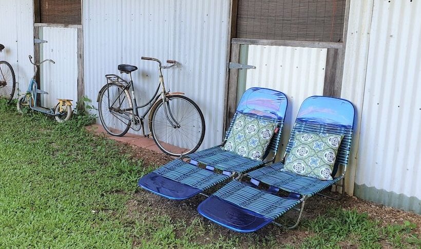 Fig Tree Retro Studio