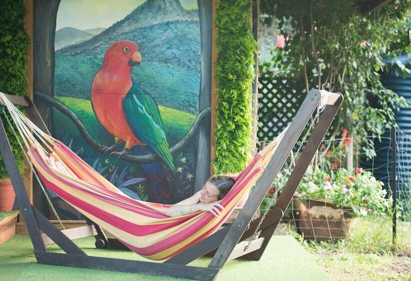 Fig Tree Retro Studio