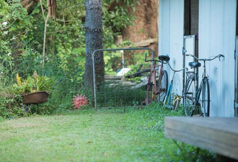 Fig Tree Retro Studio