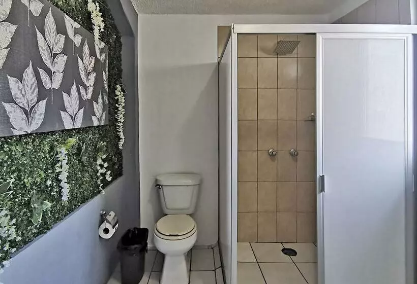 Hotelli Boutique Charlotte