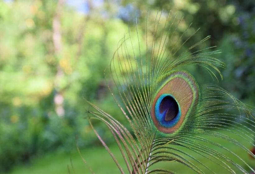 Hotel Ferienhof Unterkotgraben