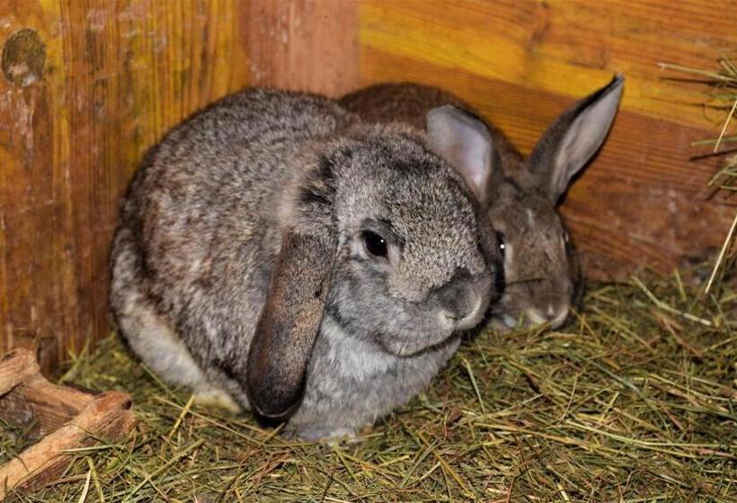 Hotel Ferienhof Unterkotgraben