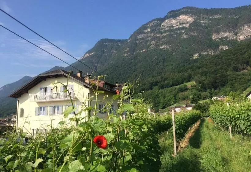 تختخواب و صبحانه Haus Jablonsky