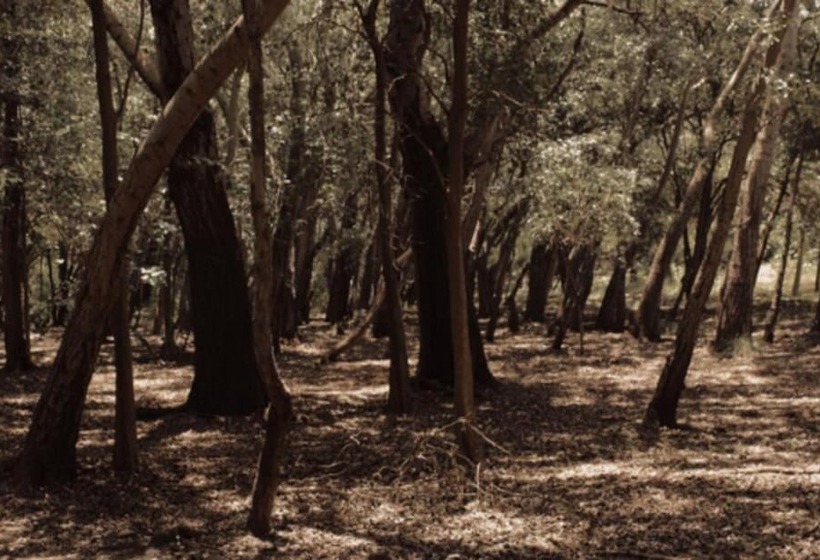 هتل Rancho El Morillo