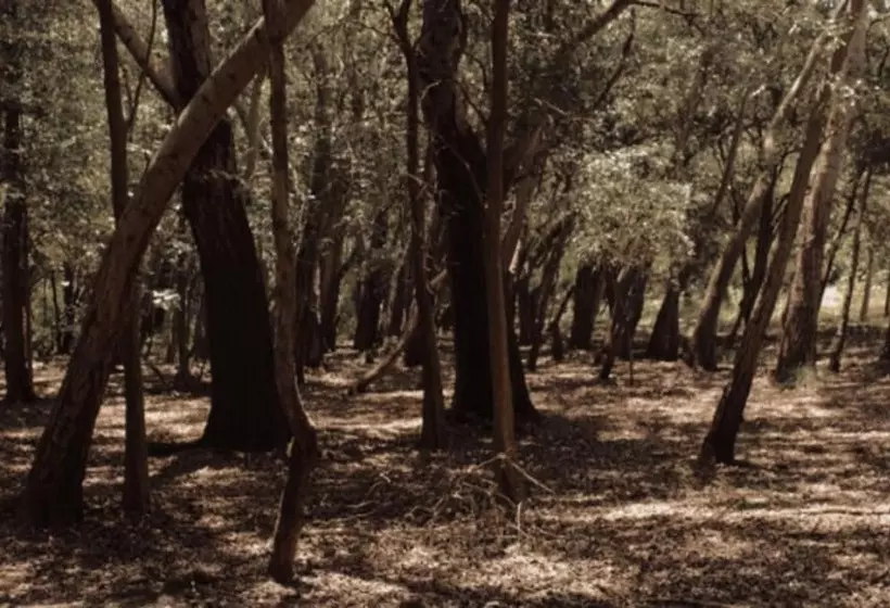 Hotelli Rancho El Morillo