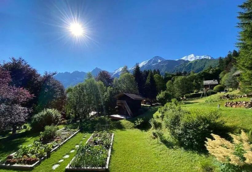 Chambres D Hôtes   B&b   Chalet Mountain Vibes