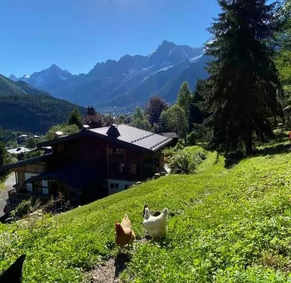 Chambres D Hôtes   B&b   Chalet Mountain Vibes