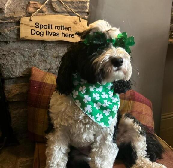 فندق Kings Head   Riverside, Ravenstonedale