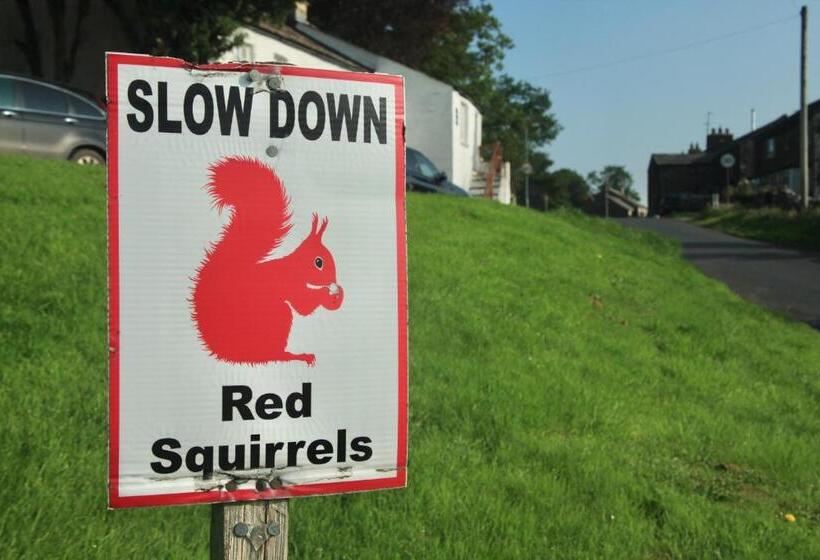 فندق Kings Head   Riverside, Ravenstonedale