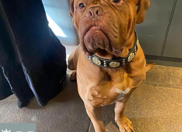 فندق Kings Head   Riverside, Ravenstonedale