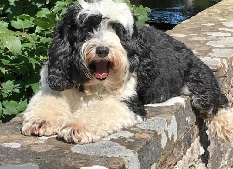 فندق Kings Head   Riverside, Ravenstonedale