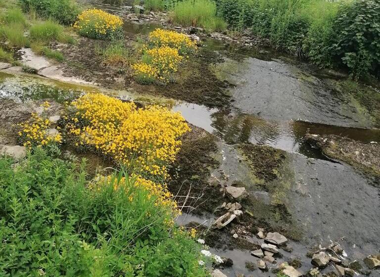 فندق Kings Head   Riverside, Ravenstonedale