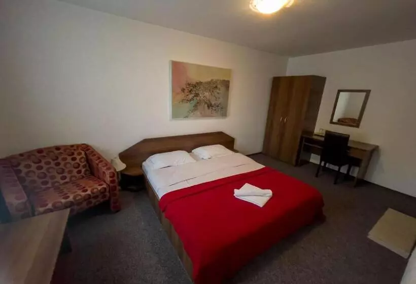 Hotel Pensiunea Dacia Deva