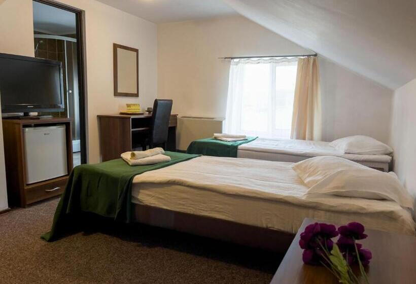 ホテル Pensiunea Dacia Deva